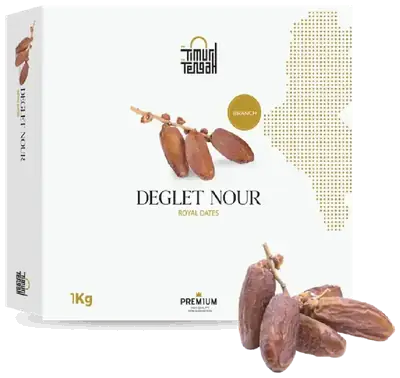 Kurma Tunisia Tangkai